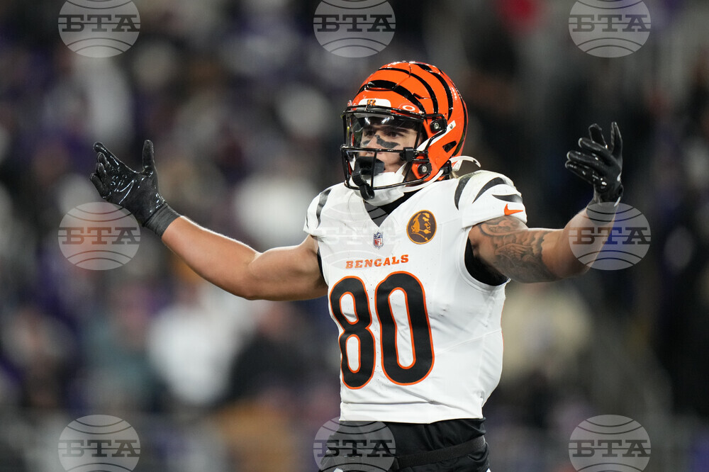 Bengals Ravens Football