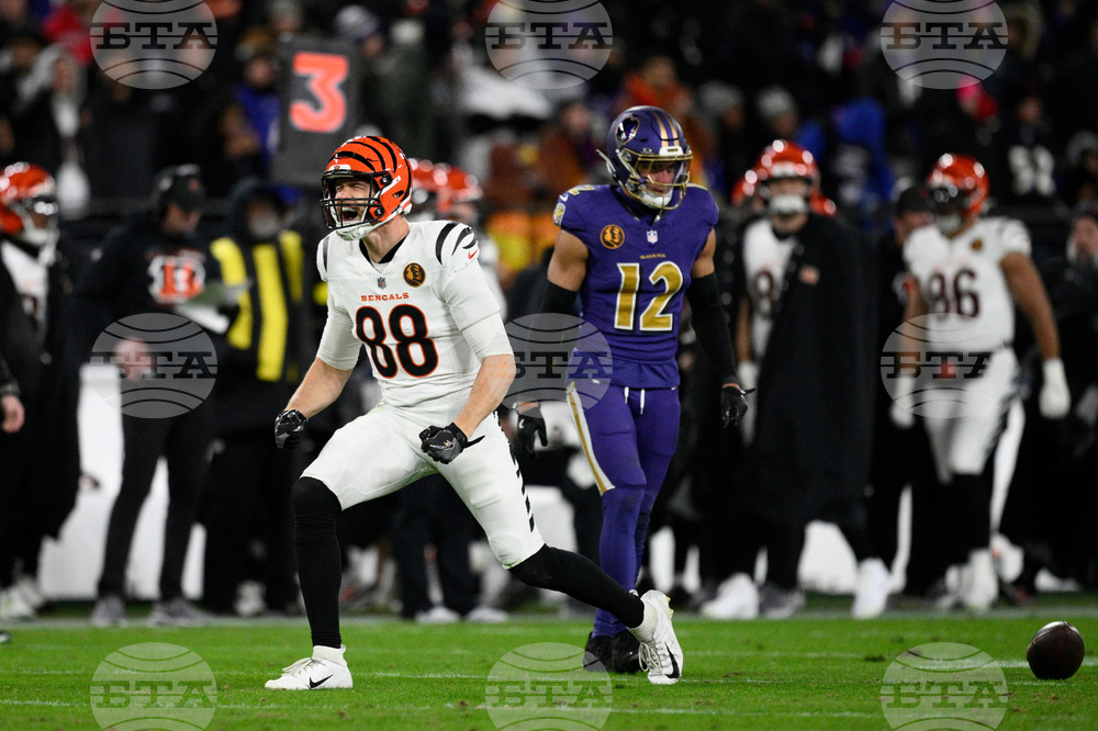 Bengals Ravens Football