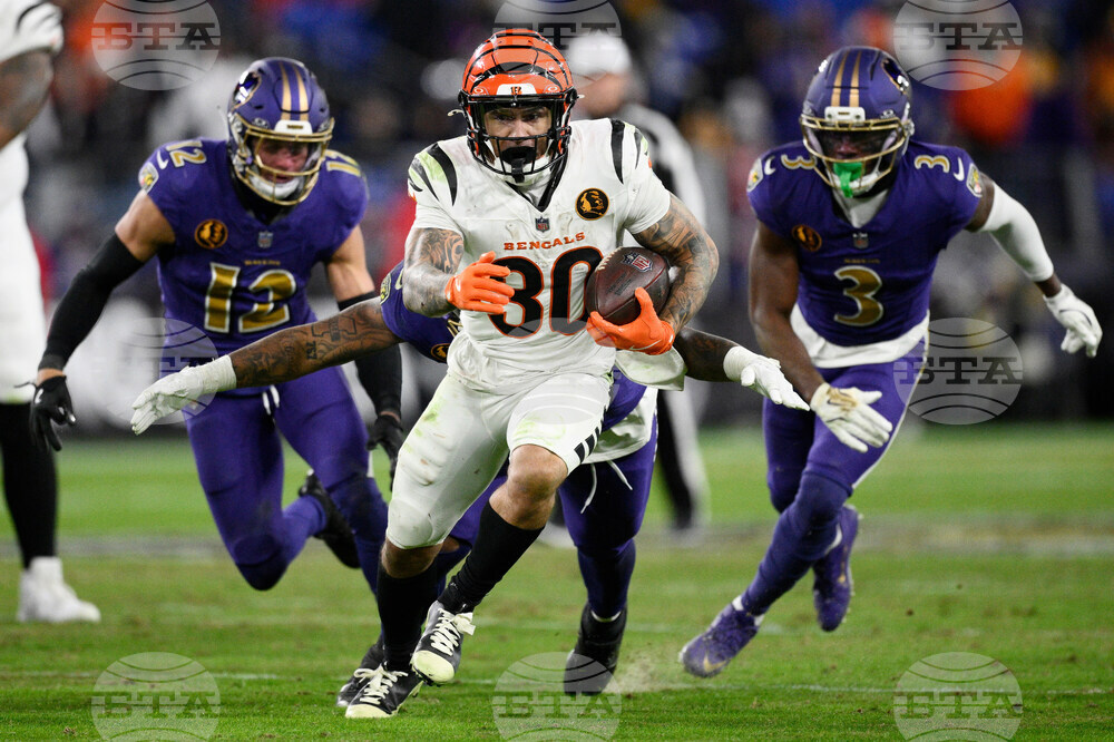 Bengals Ravens Football