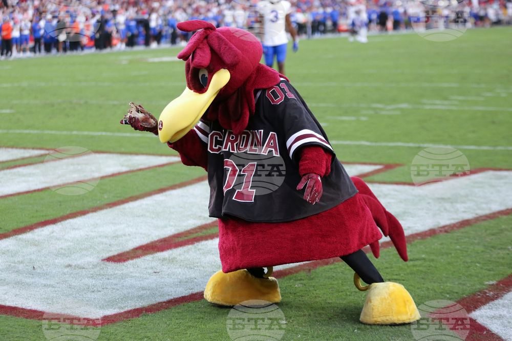 Tradition Glimpse Mascots Football