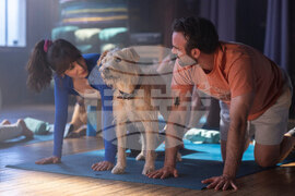 TV-Holiday-Programming