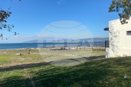 Турския - Папа Лъв ХIV - посещение - предстоящо