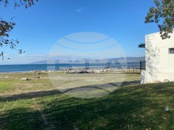 Турския - Папа Лъв ХIV - посещение - предстоящо