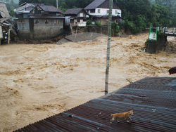 Indonesia Landslides