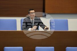 Парламентарен контрол - Петър Дилов