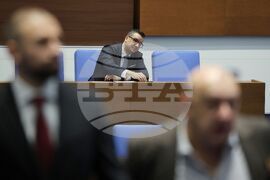 Парламентарен контрол - Петър Дилов