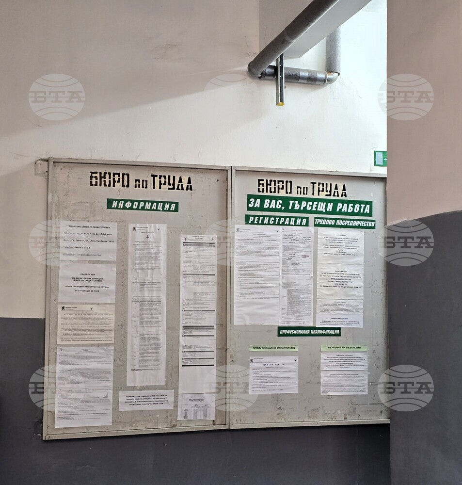 Пет свободни работни места за висококвалифицирани специалисти са обявени в Бюрото по труда в Сливен