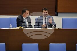 Народно събрание - парламентарен контрол