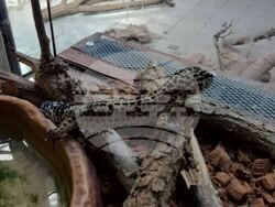 Снимка: Агенция „Митници“