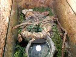 Снимка: Агенция „Митници“