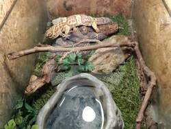 Снимка: Агенция „Митници“