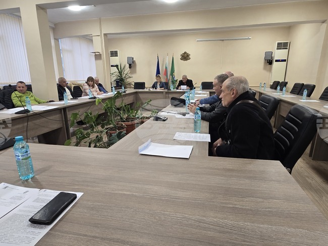 Общинският съвет в Роман реши да се обяви за продажба имот в Козлодуй