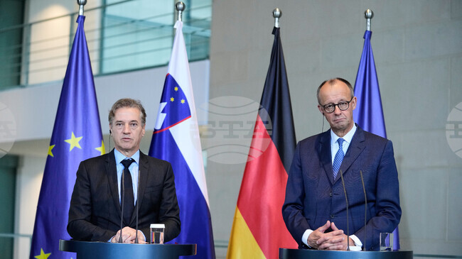 Използването на замразените руски активи за Украйна става "все по-неотложно", каза Мерц