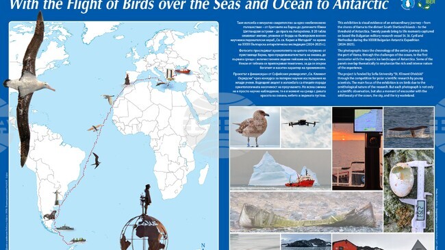 Изложбата "С полета на птиците по пътя към Антарктида" ще бъде представена в Екомузея в Русе