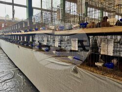 Снимка: Община Ловеч