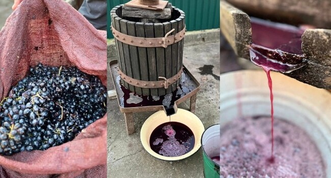 Етнически българи от село Криничне, Украйна, представиха традиционна технология за приготвяне на червено вино