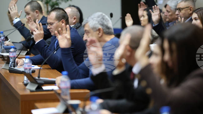 Каква да е организацията за посещение на детска градина в периода на празниците приеха общинските съветници в Благоевград