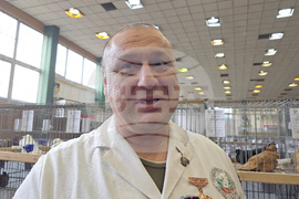 Ловеч - национална изложба - гълъби