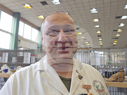 Ловеч - национална изложба - гълъби