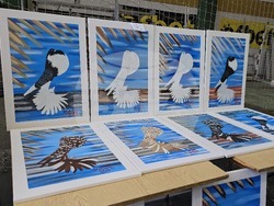 Ловеч - национална изложба - гълъби