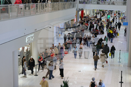 Black Friday Holiday Shopping