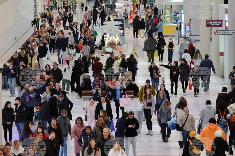 Black Friday Holiday Shopping