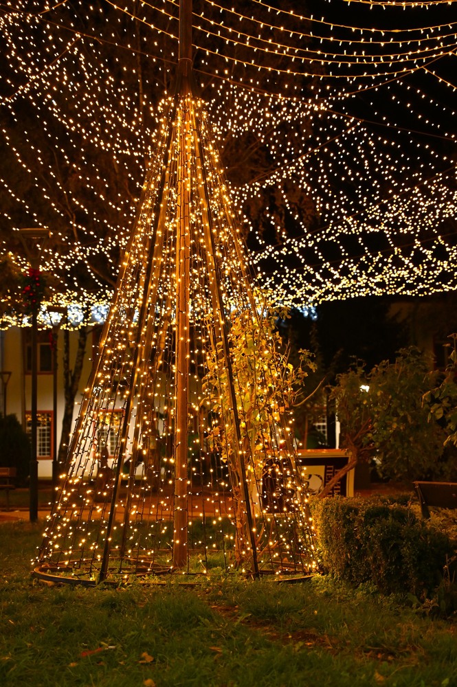 На 29 ноември в Елин Пелин грейва коледно градче с над 1 000 000 светлини, 16-метрова елха и кауза, родила вече четири бебета