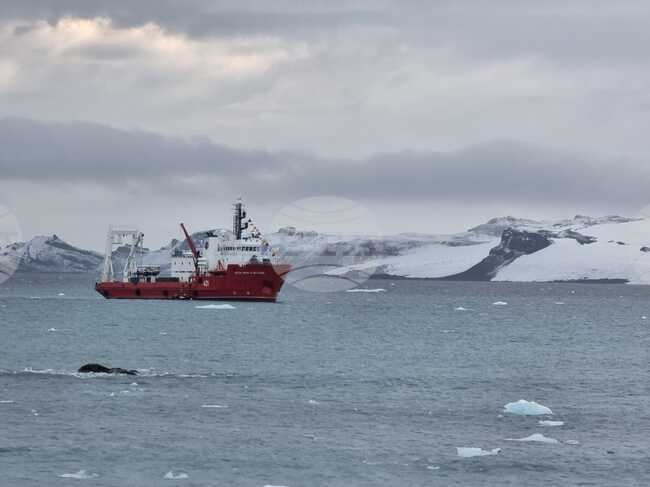 RSV 421 Heads Back to Bulgaria