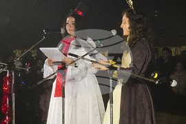 Генерал Тошево - коледни светлини - елха