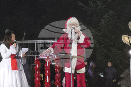 Генерал Тошево - коледни светлини - елха