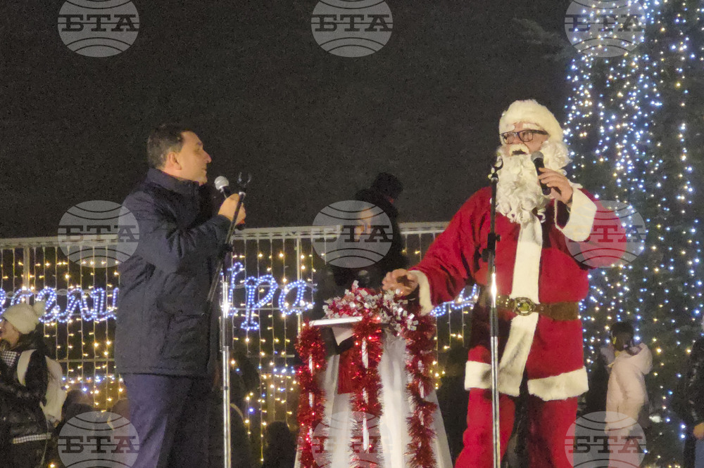 Генерал Тошево - коледни светлини - елха