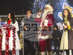 Генерал Тошево - коледни светлини - елха