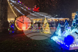 Генерал Тошево - коледни светлини - елха