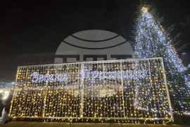 Генерал Тошево - коледни светлини - елха