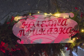 Генерал Тошево - коледни светлини - елха