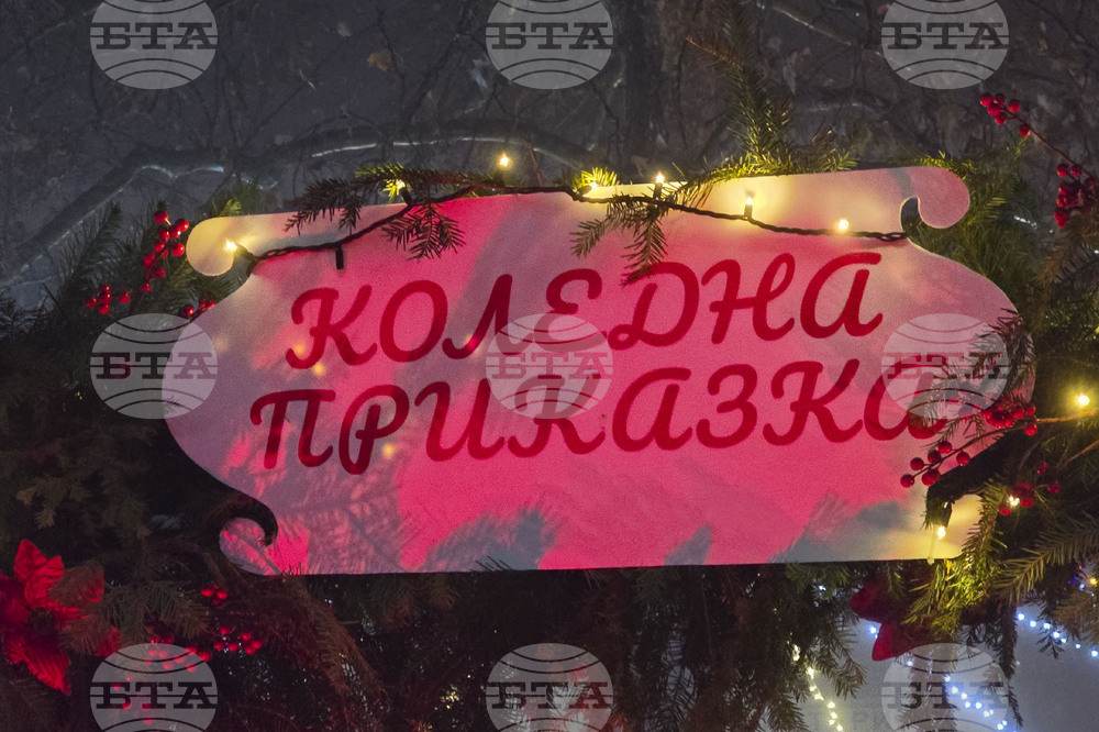 Генерал Тошево - коледни светлини - елха