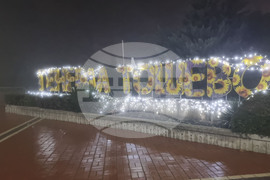 Генерал Тошево - коледни светлини - елха