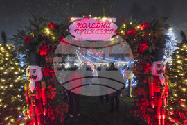 Генерал Тошево - коледни светлини - елха