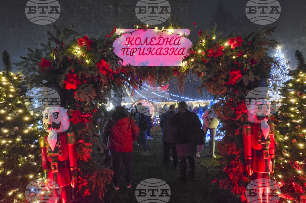 Генерал Тошево - коледни светлини - елха