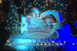 Генерал Тошево - коледни светлини - елха