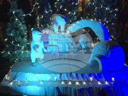 Генерал Тошево - коледни светлини - елха