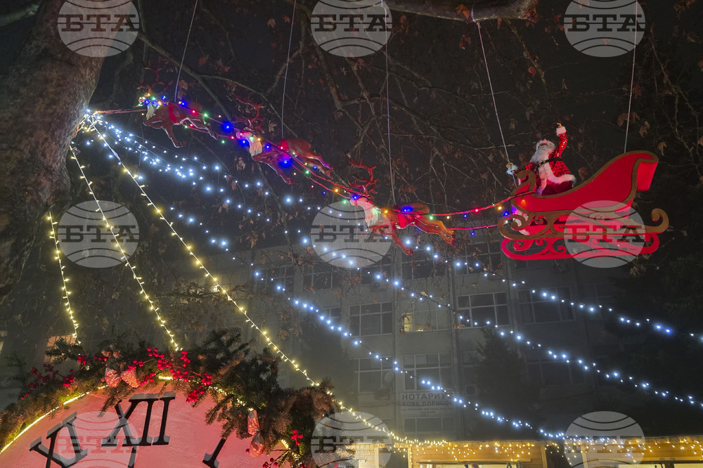 Генерал Тошево - коледни светлини - елха