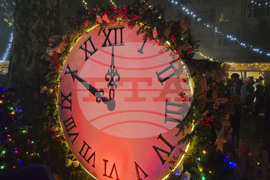 Генерал Тошево - коледни светлини - елха