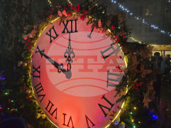 Генерал Тошево - коледни светлини - елха