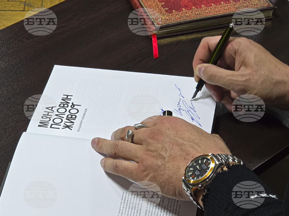 Видин - Владимир Карамазов - книга - представяне