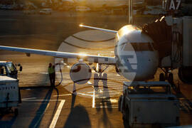 Immigration Thanksgiving Trip Deportation