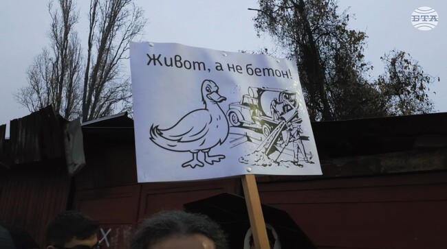 Граждани протестират пред административната сграда на район "Витоша" срещу строителството до Боянското блато и унищожаване на речното му корито