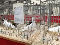 Снимка: Община Шумен