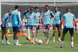 Peru Brazil Copa Libertadores Soccer