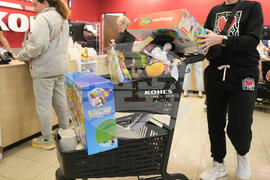 Black Friday Holiday Shopping